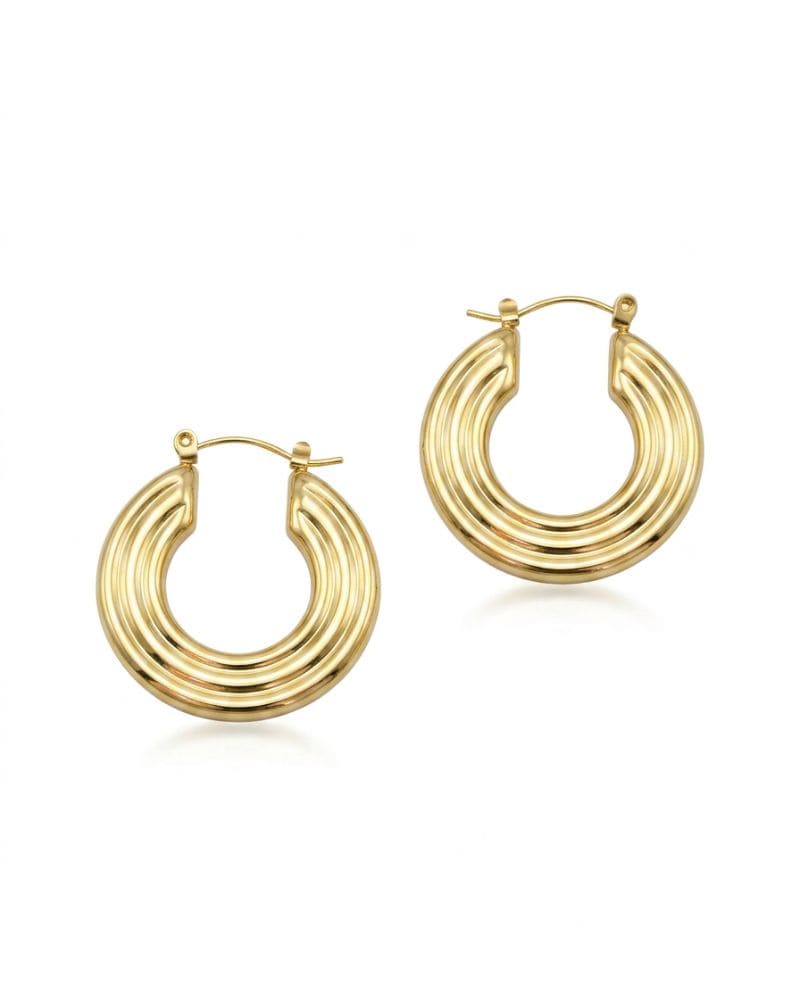 Kelly Stainless Steel Chunky Hoop Earrings