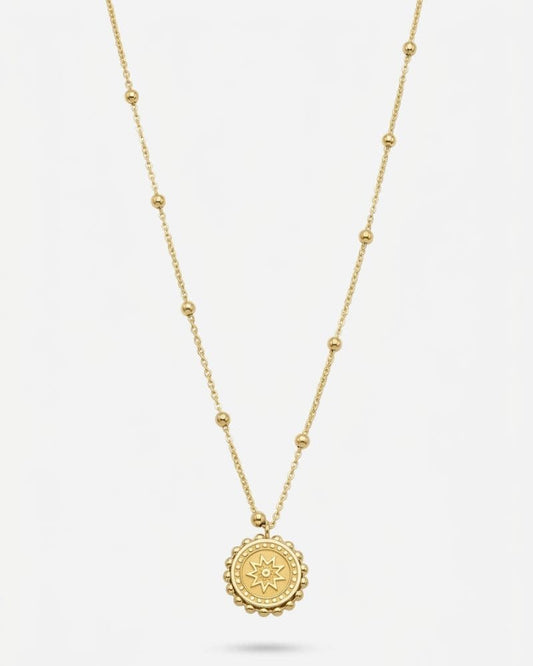 Sunny Stainless Steel Coin Pendant Necklace