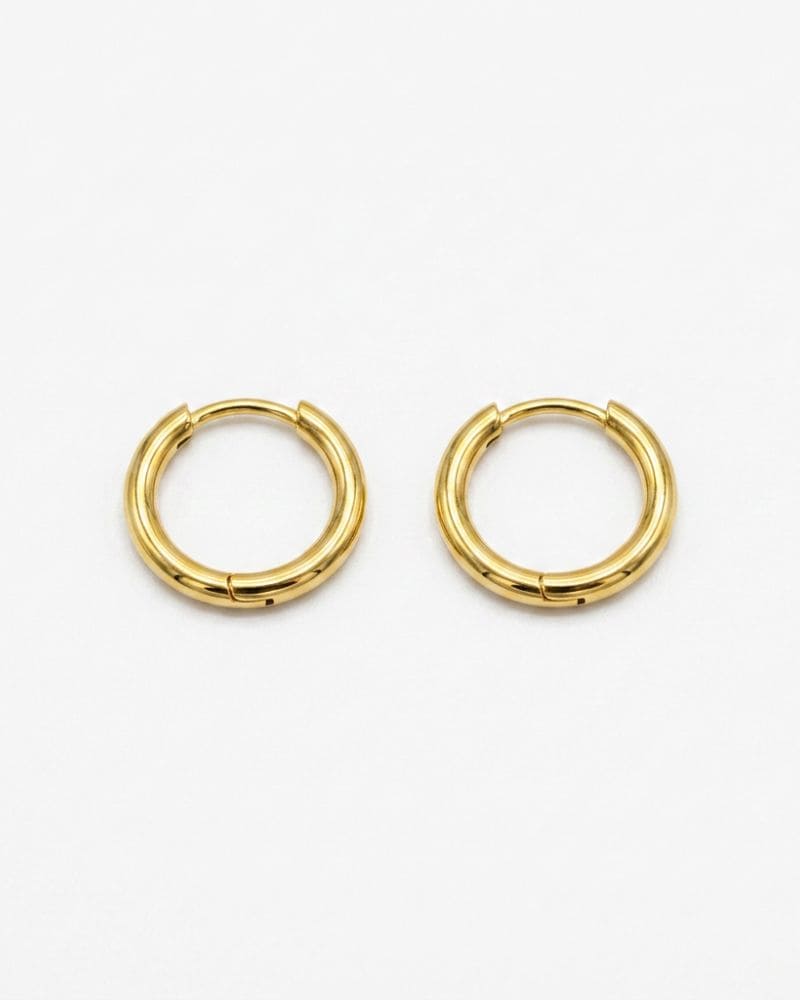 Ash Stainless Steel Hoop Earrings