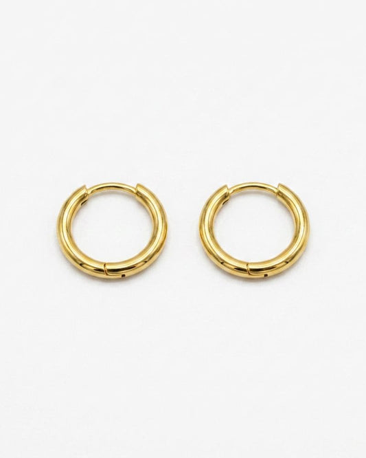 Ash Stainless Steel Hoop Earrings