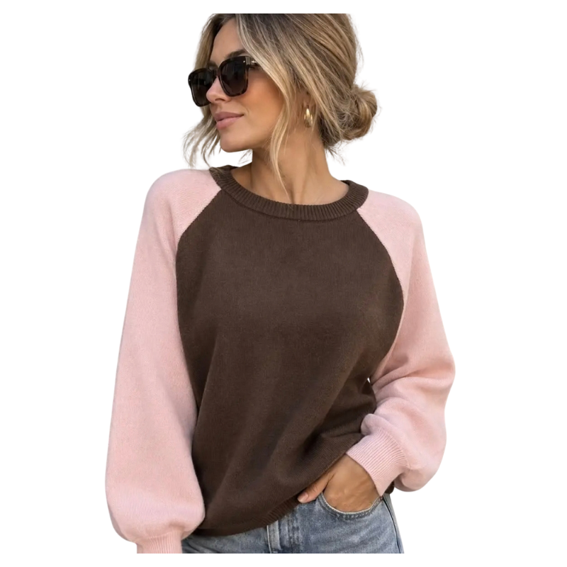 Cathy Contrast Sleeve Knit Brown