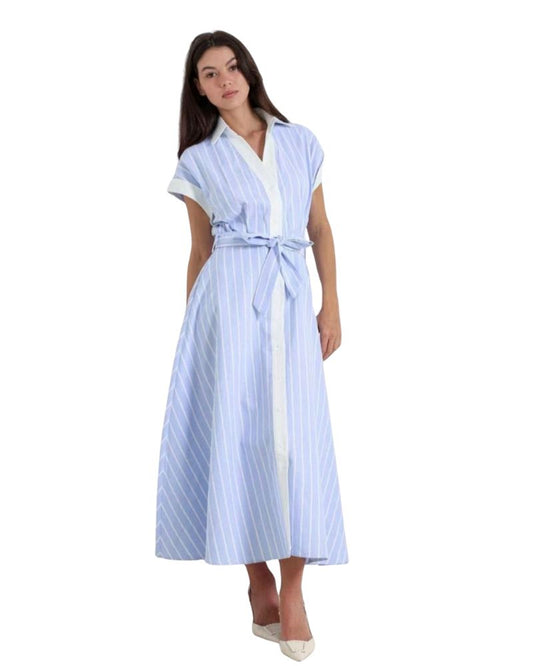 Erin Shirt Dress
